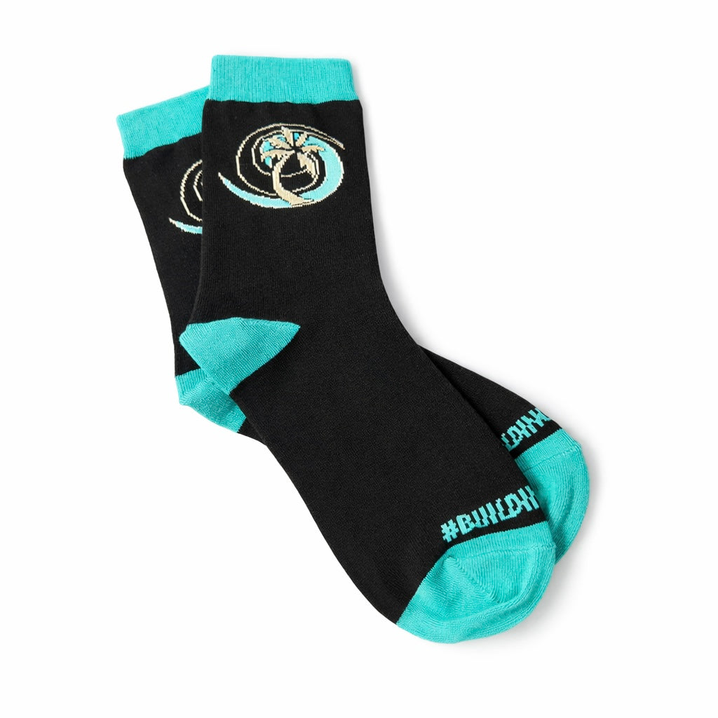Hurricanes Socks