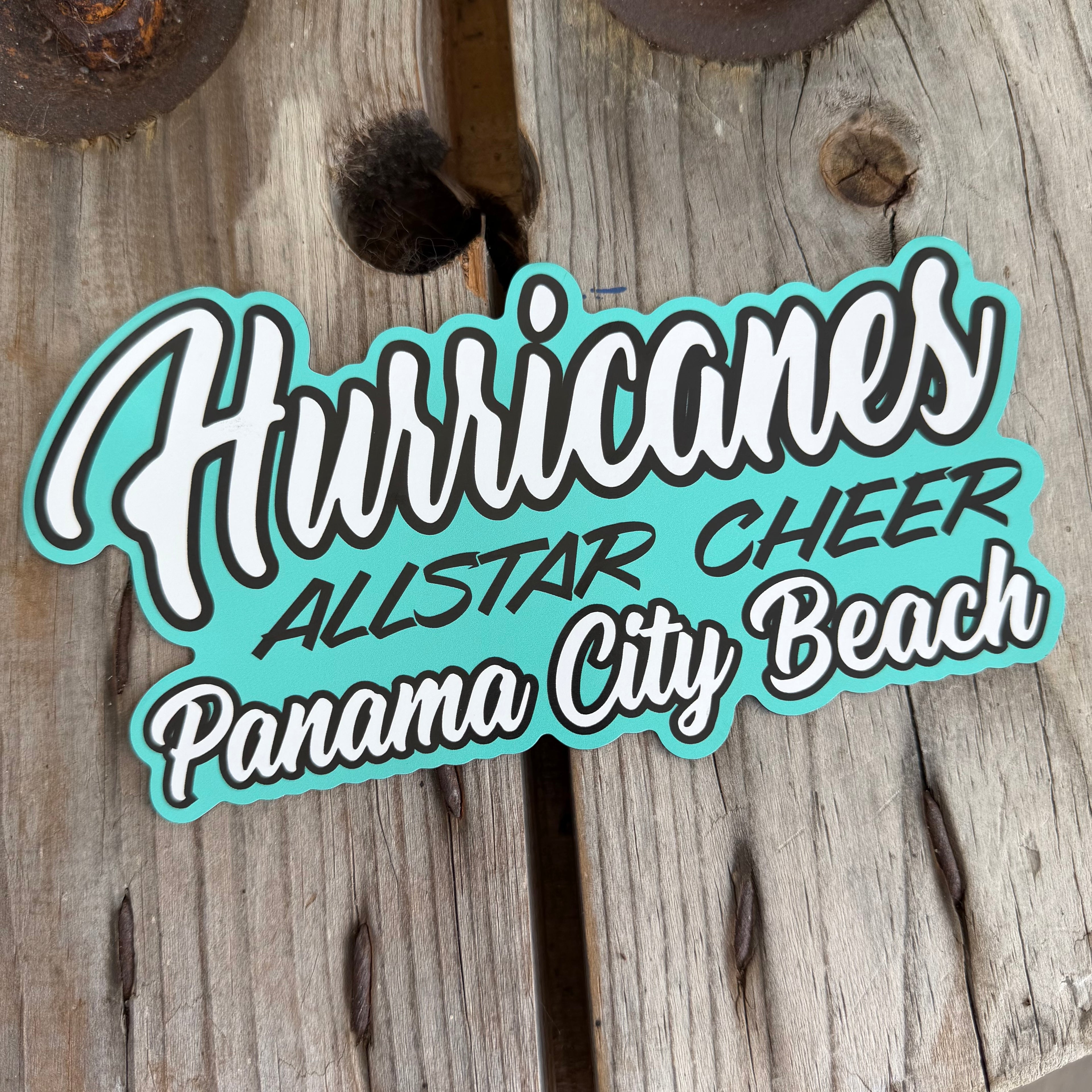 Hurricanes Large Uniform Logo Car Magnet